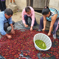 Café de especialidad grano, 1 kg.