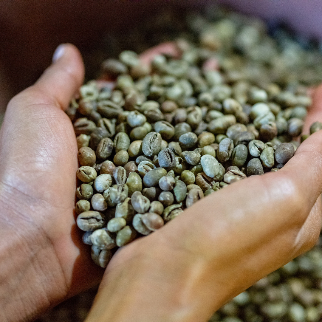 Café de especialidad grano, 1 kg.