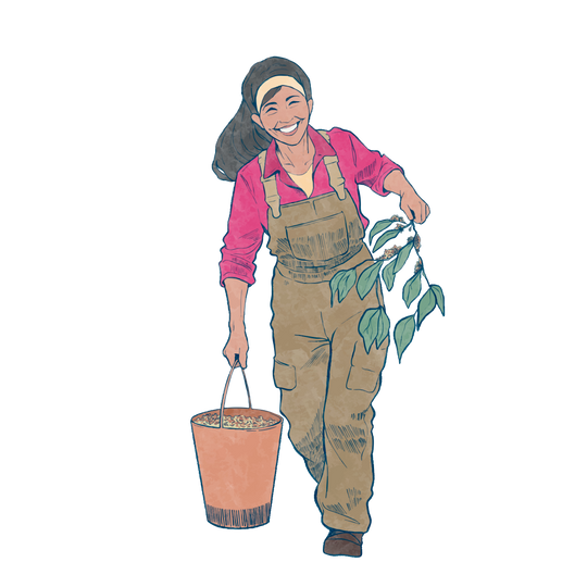 LOS PEQUEÑOS CAFICULTORES