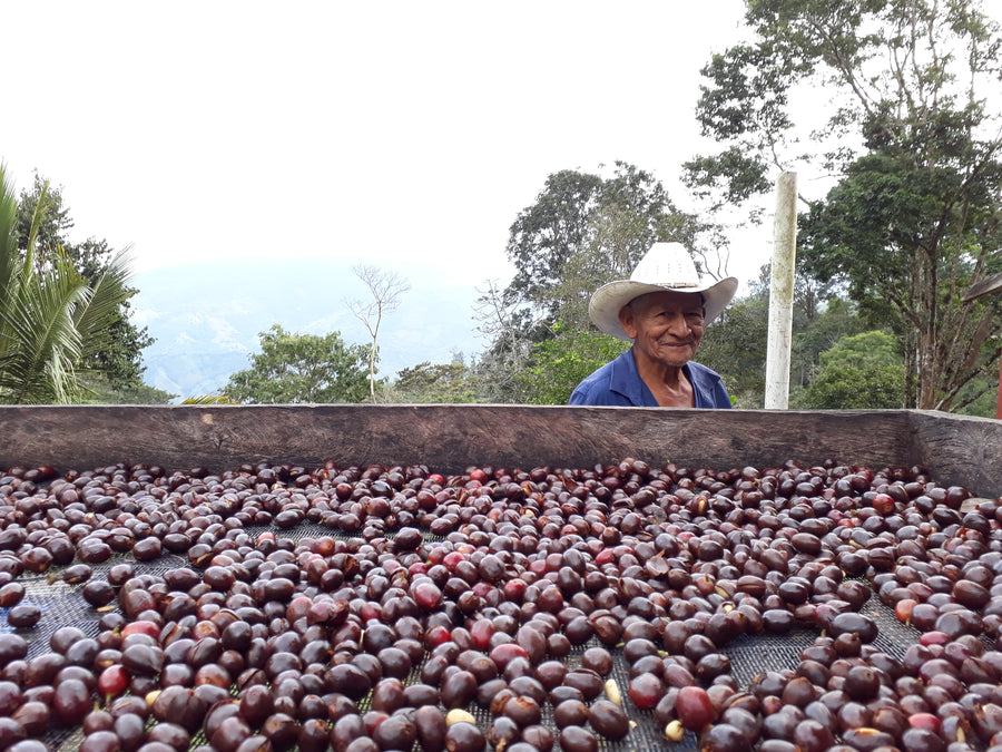 Café de especialidad molido, 250 gramos